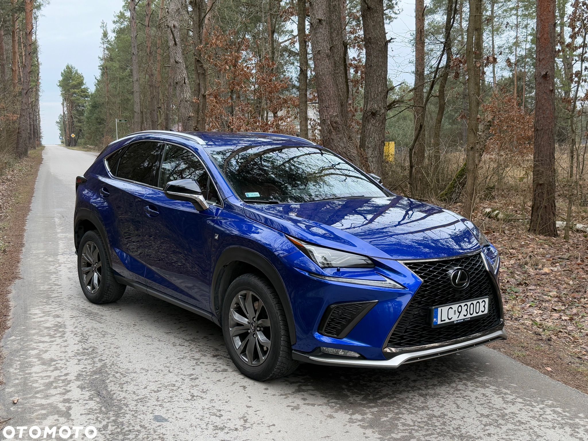 Lexus NX 300 F Sport AWD - 1