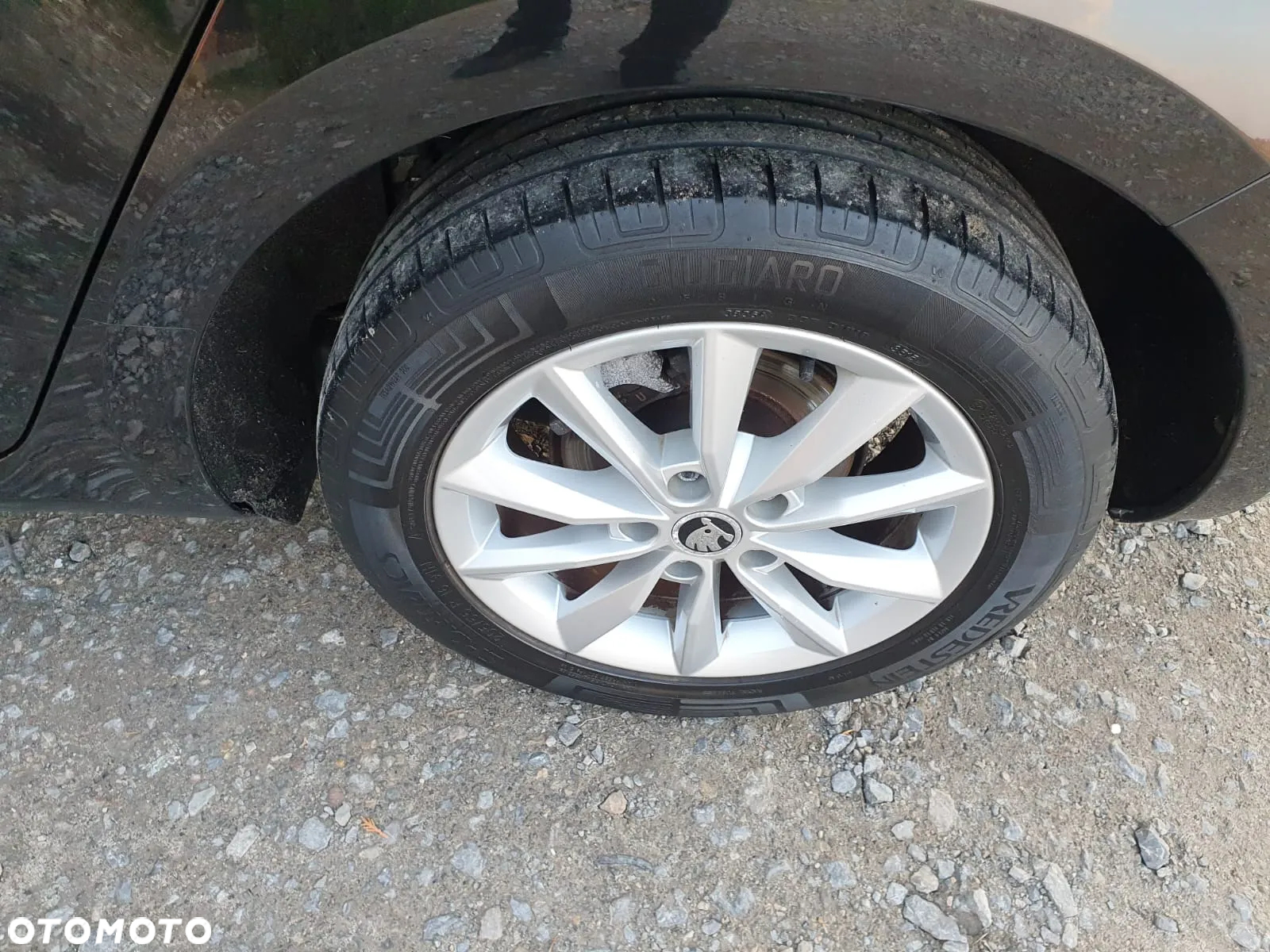 Skoda Octavia 1.6 TDI Classic - 37