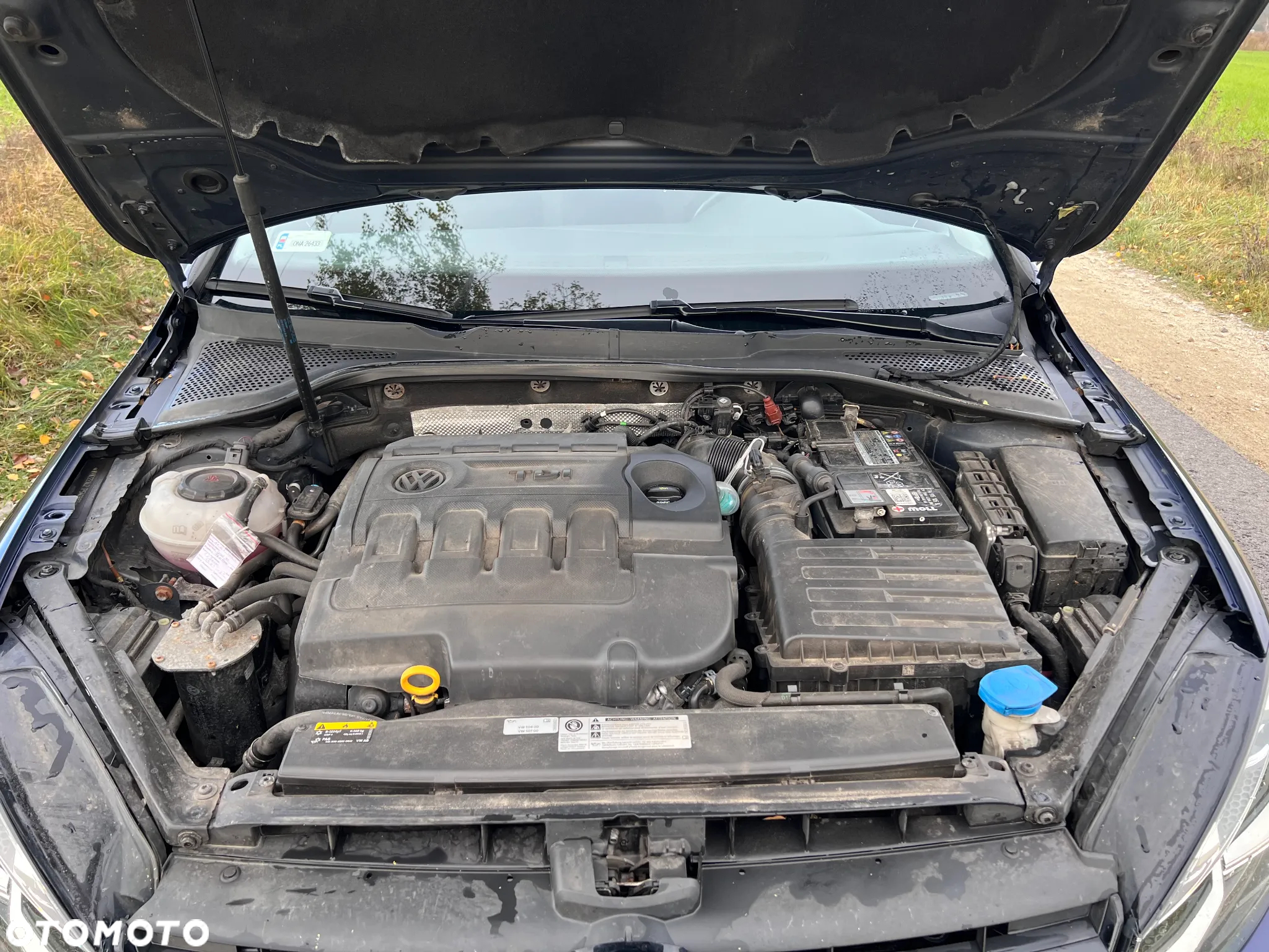 Volkswagen Golf - 11