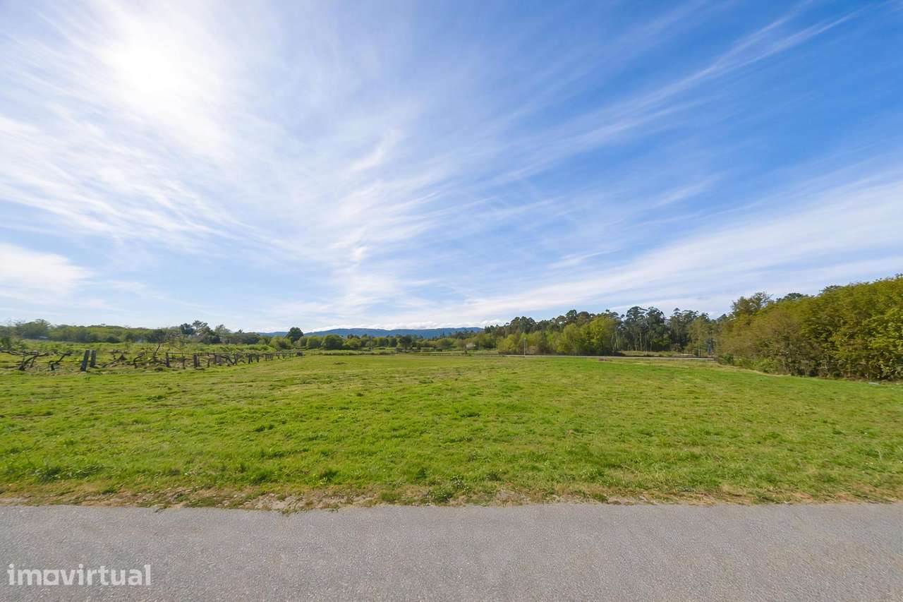 Terreno com 9.100 m2 em Lovelhe – Vila Nova de Cerveira - Grande imagem: 3/14