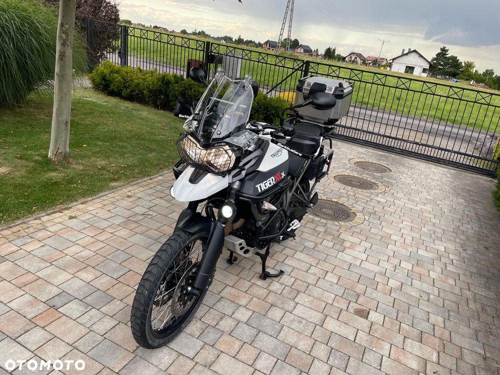 Triumph Tiger - 10
