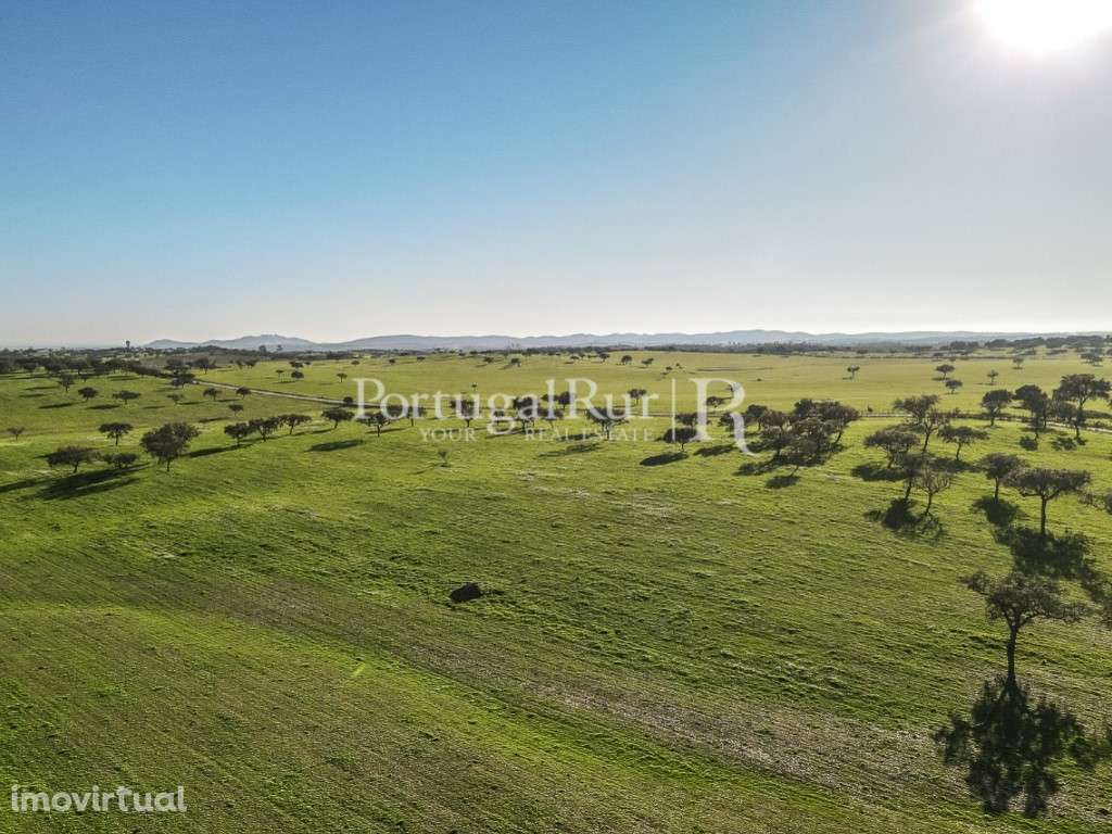 Herdade 363 hectares para Agropecuária e Painéis Fotovoltaicos - Grande imagem: 5/18