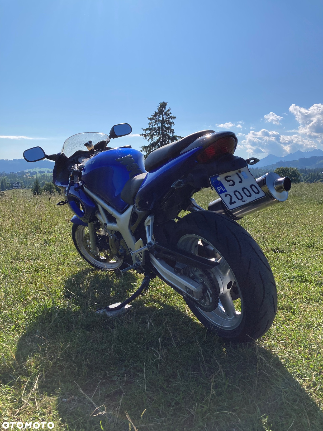 Suzuki SV - 23