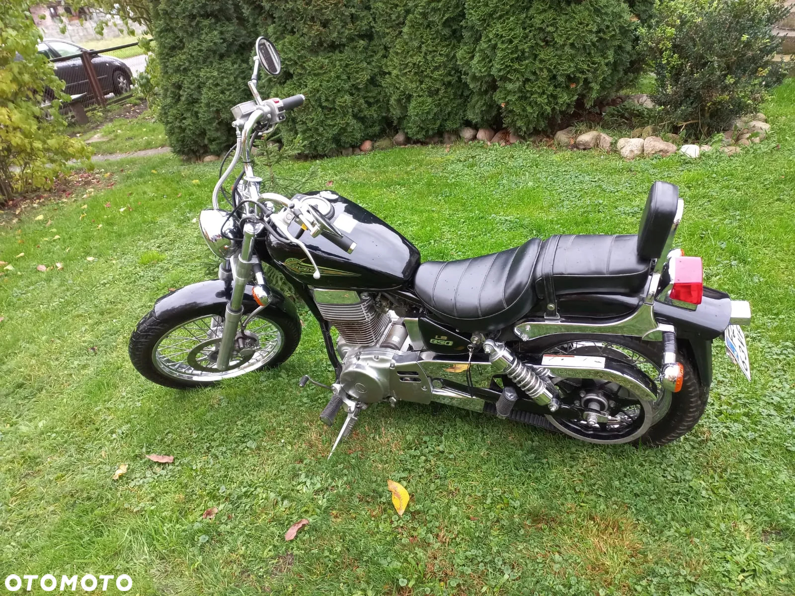 Suzuki Savage - 2