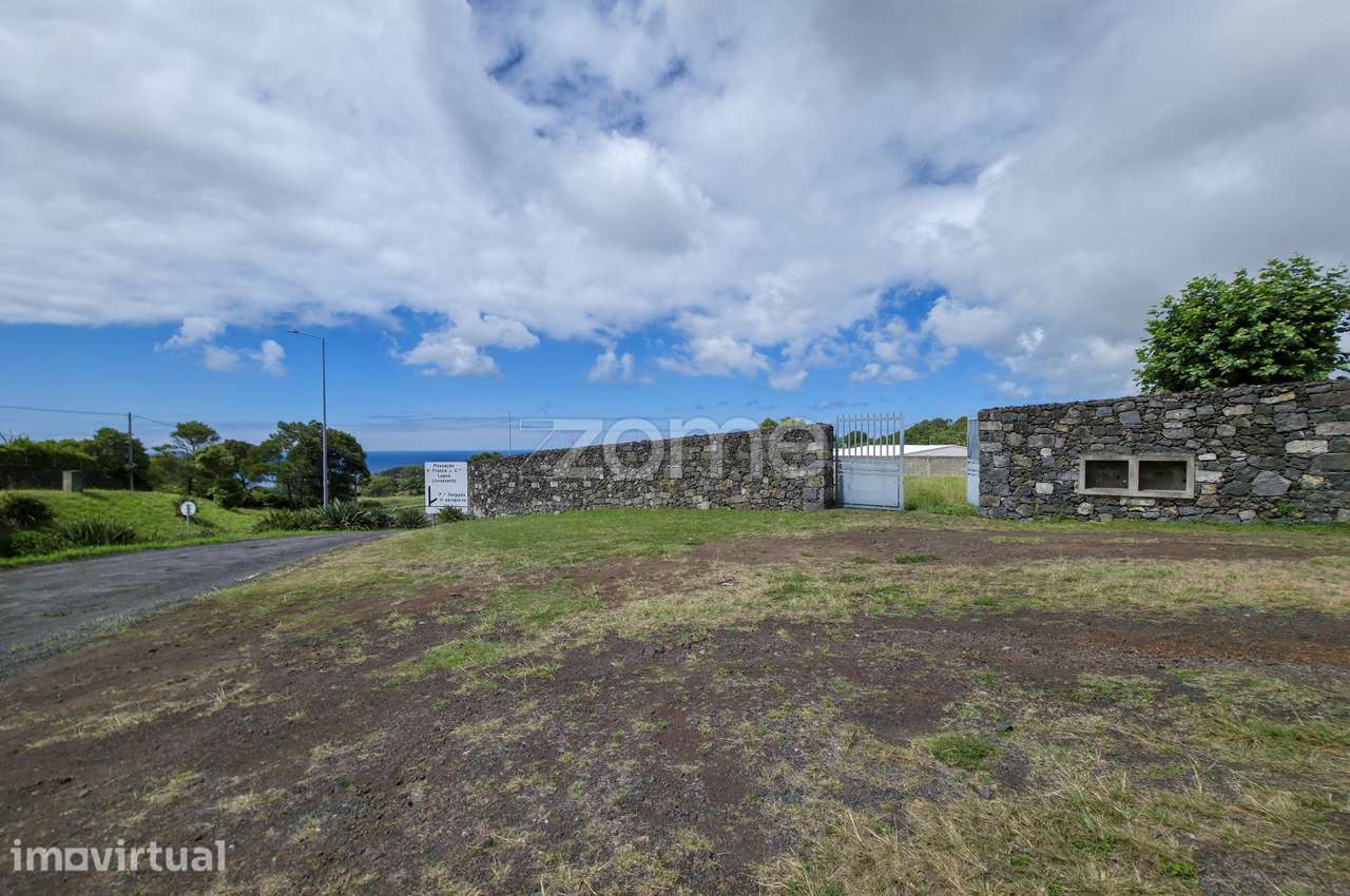 Terreno com viabilidade de construção - Rosto do cão (São Roque) - Grande imagem: 4/17