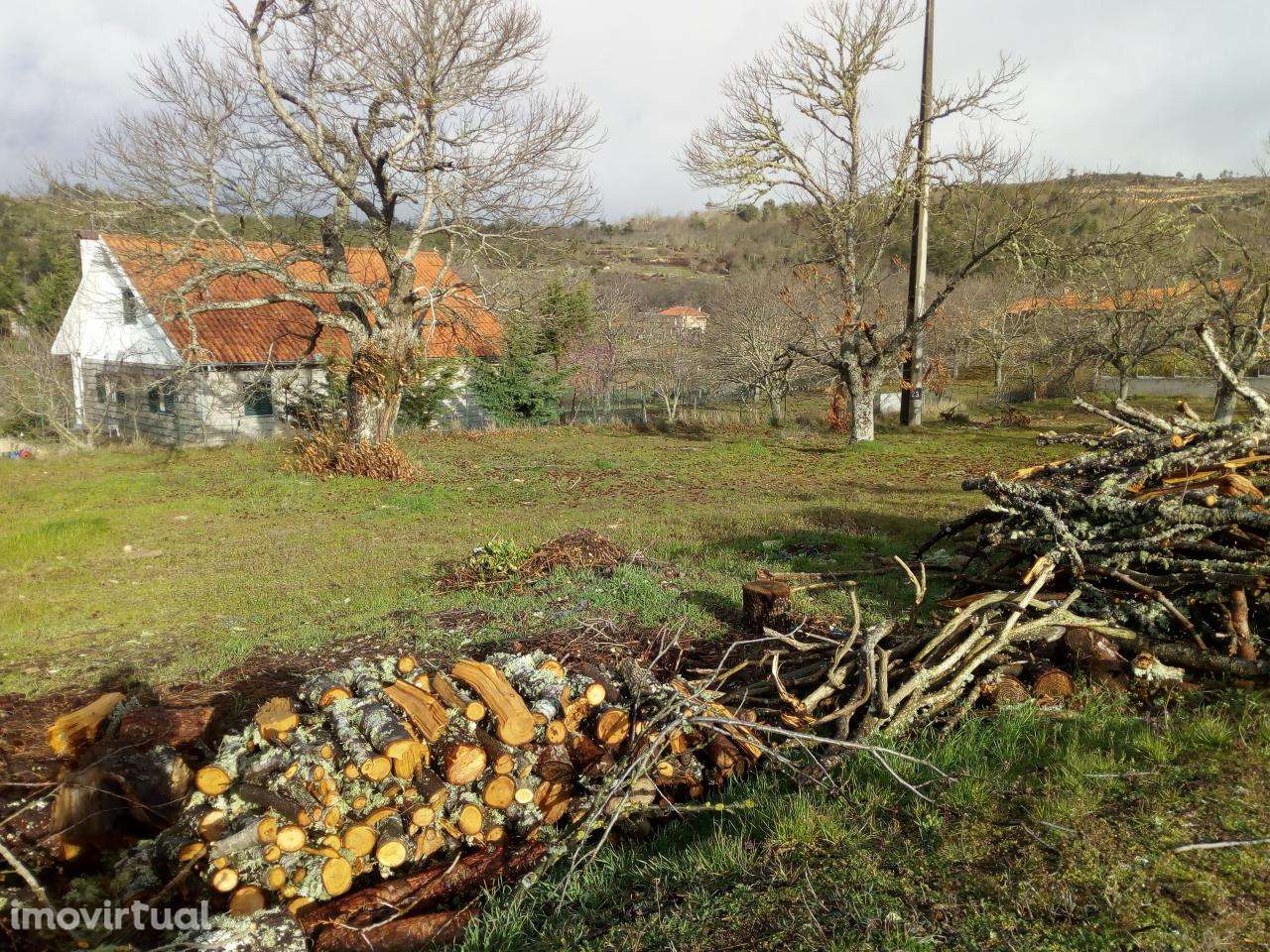 Lote para construção - Grande imagem: 5/5