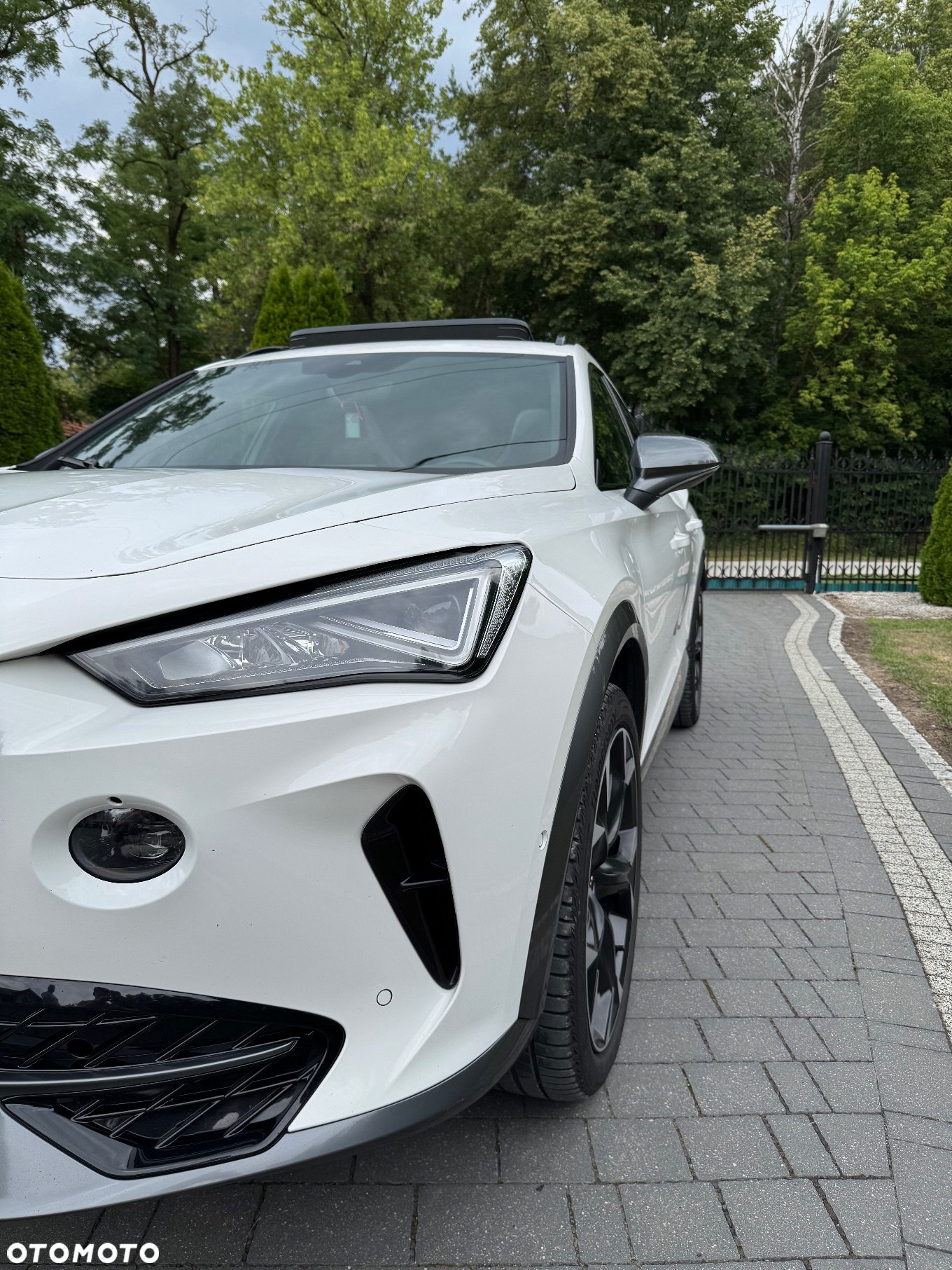 Cupra Formentor 2.0 TSI 4Drive VZ DSG - 6
