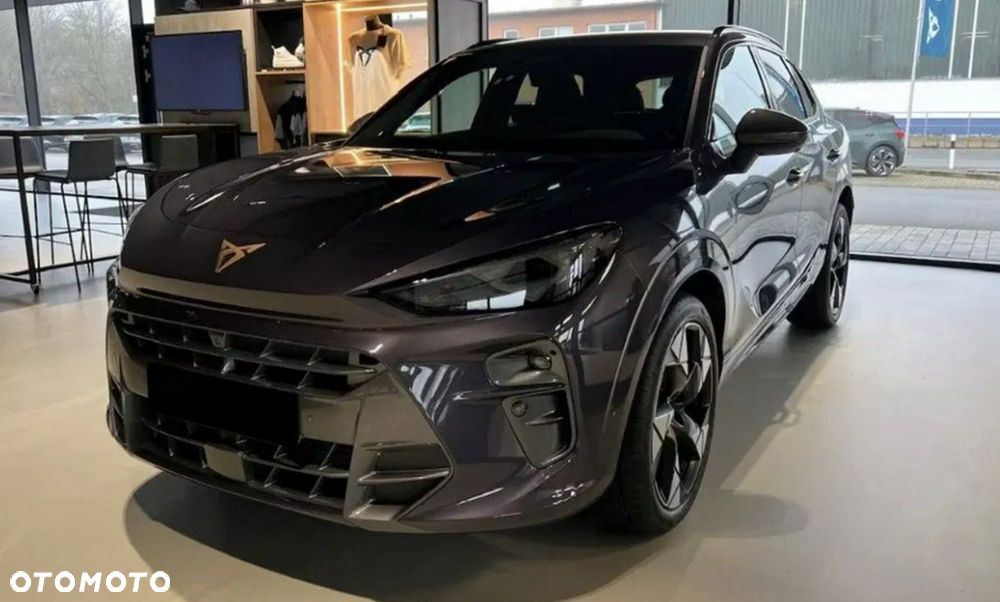 Cupra Terramar 2.0 TSI 4Drive DSG - 21