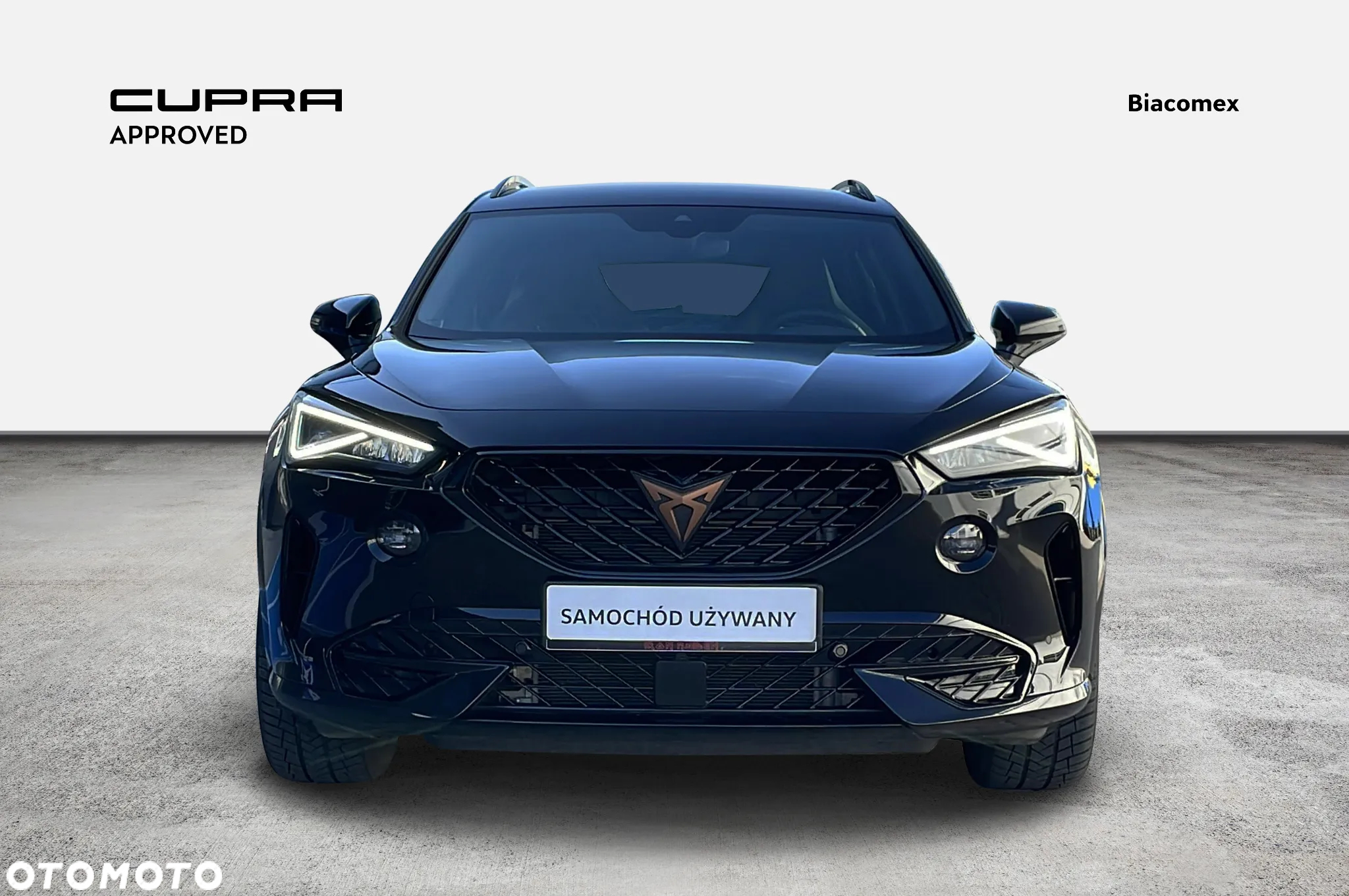 Cupra Formentor 2.0 TSI 4Drive DSG - 8