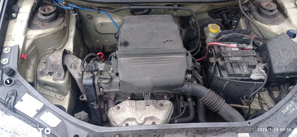 Fiat Punto - 12