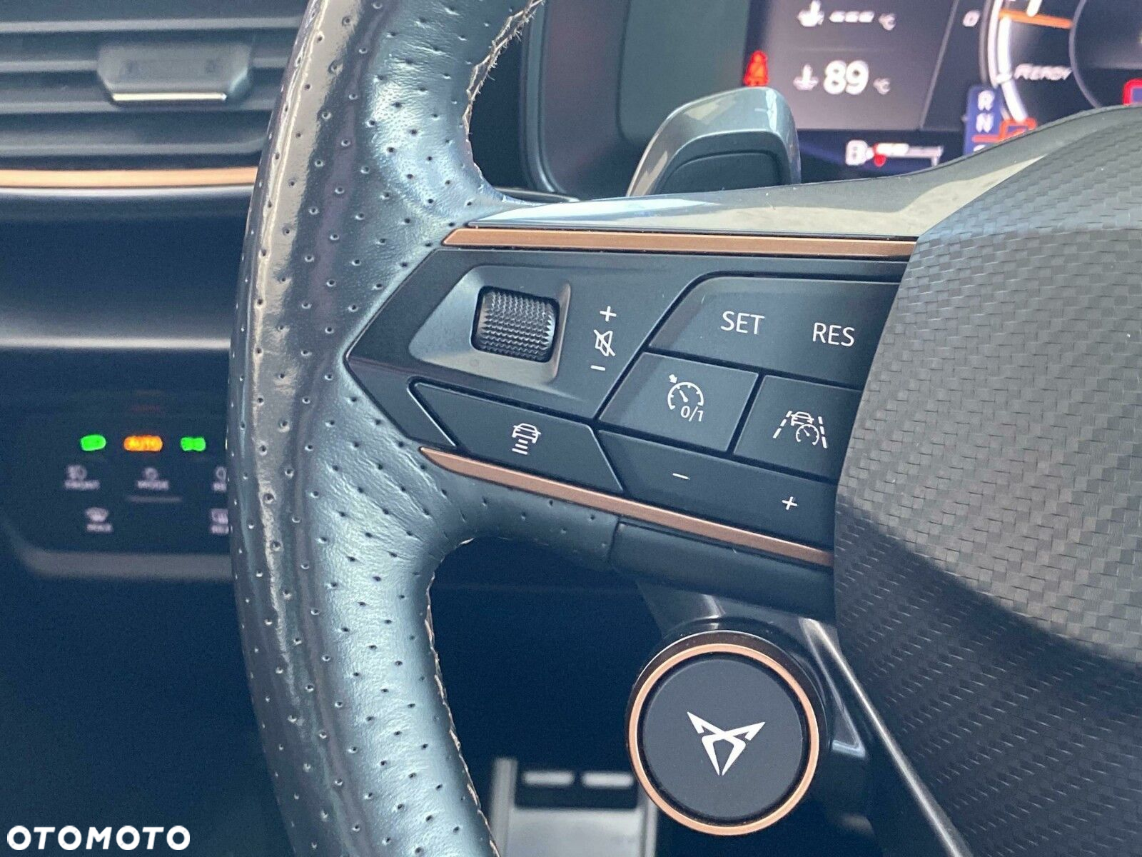Cupra Formentor 2.0 TSI 4Drive VZ DSG - 25