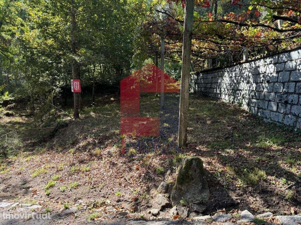 Terreno para construção, Mós - Grande imagem: 3/13