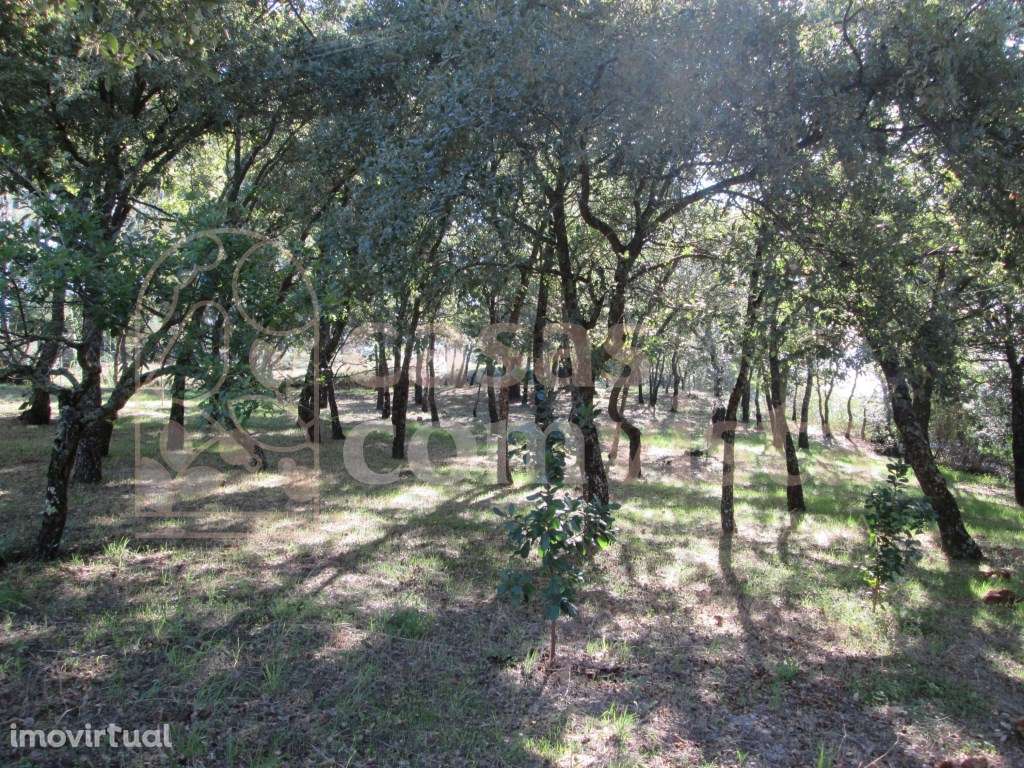 Terreno - Grande imagem: 5/12