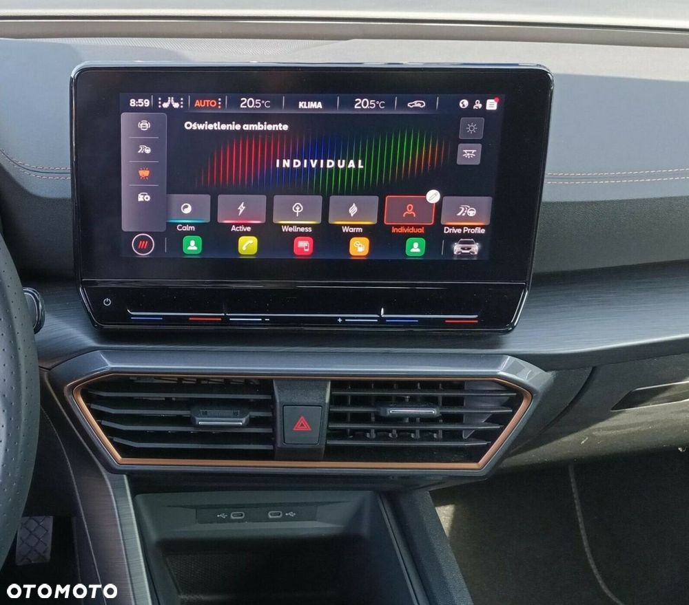 Cupra Formentor 1.5 TSI DSG - 28