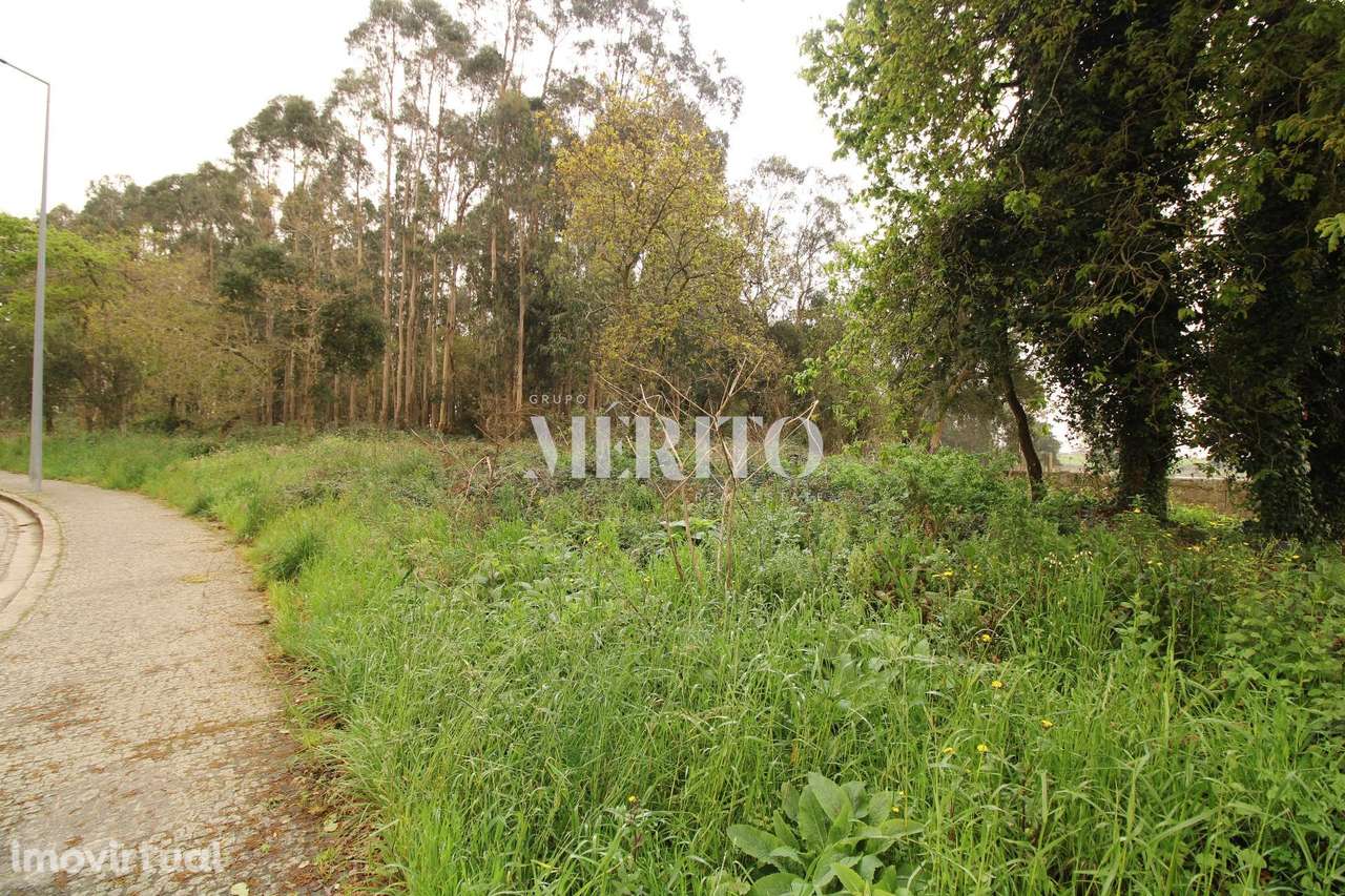 Terreno Misto com área de 21.000m2- Aveleda - Vila do Conde - Grande imagem: 5/16