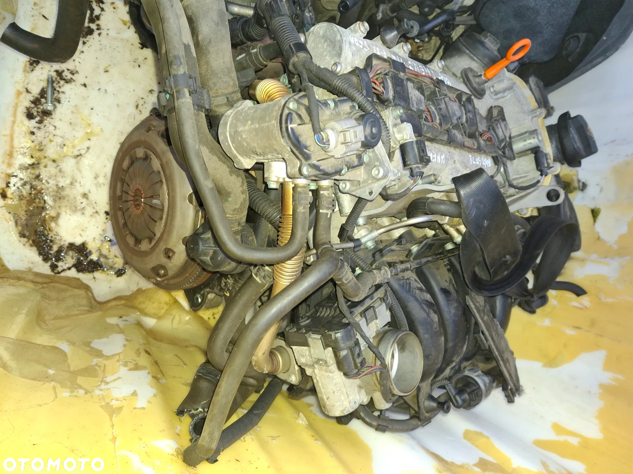Silnik VW 1,6FSI BLF z Niemiec - 2