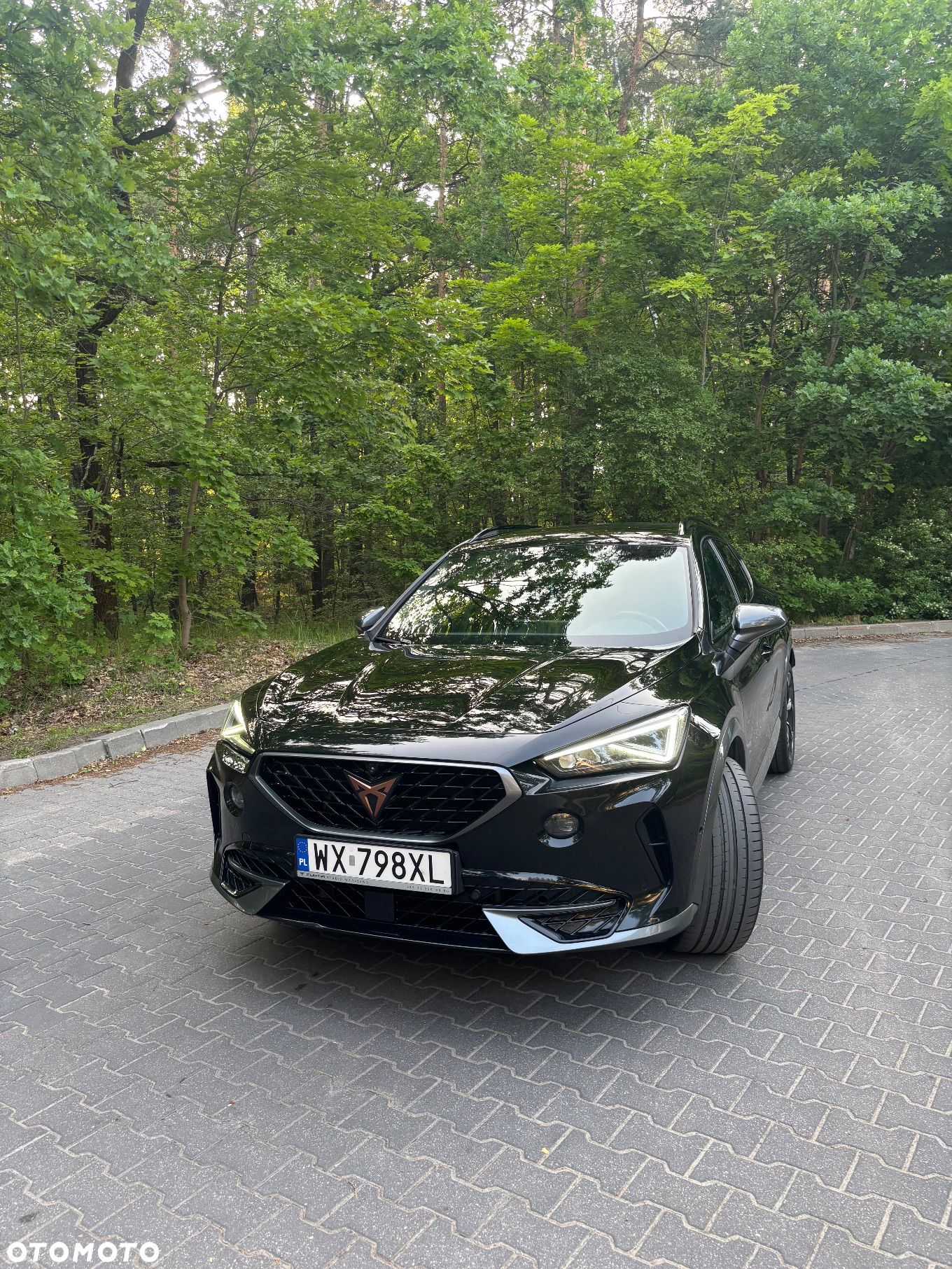 Cupra Formentor 1.5 TSI DSG - 1