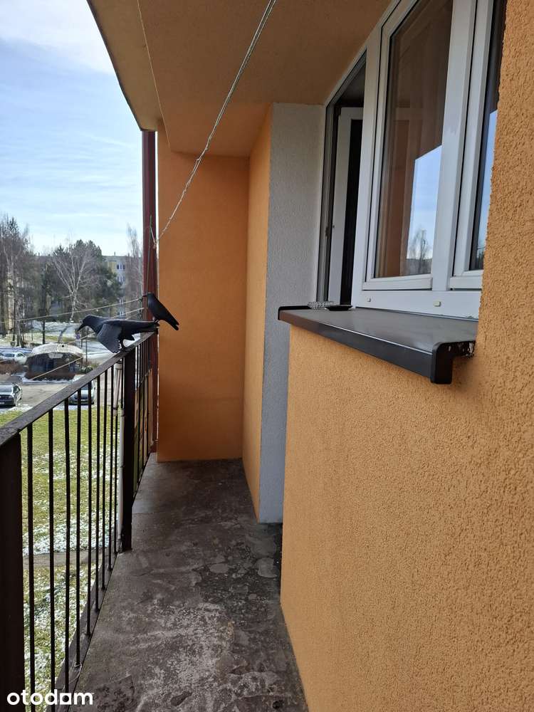 Mieszkanie 2-pokojowe z balkonem w Kudowie