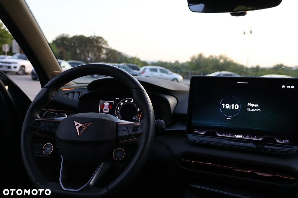 Cupra Terramar 2.0 TSI 4Drive DSG - 14