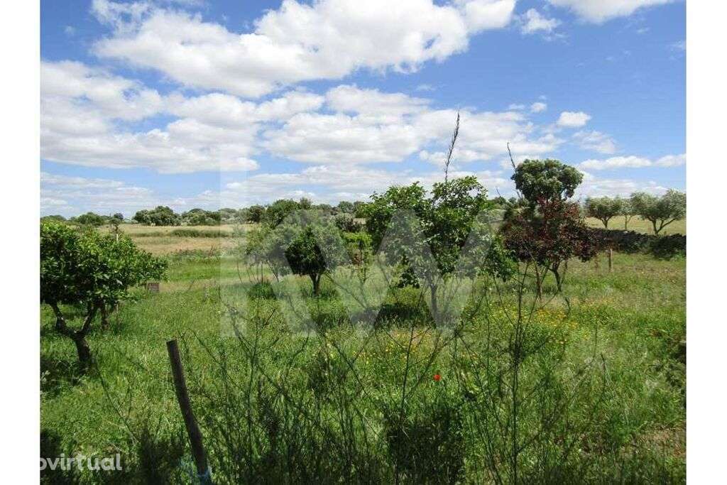 Venda Terreno de 11250m2 , Nisa - Grande imagem: 2/38