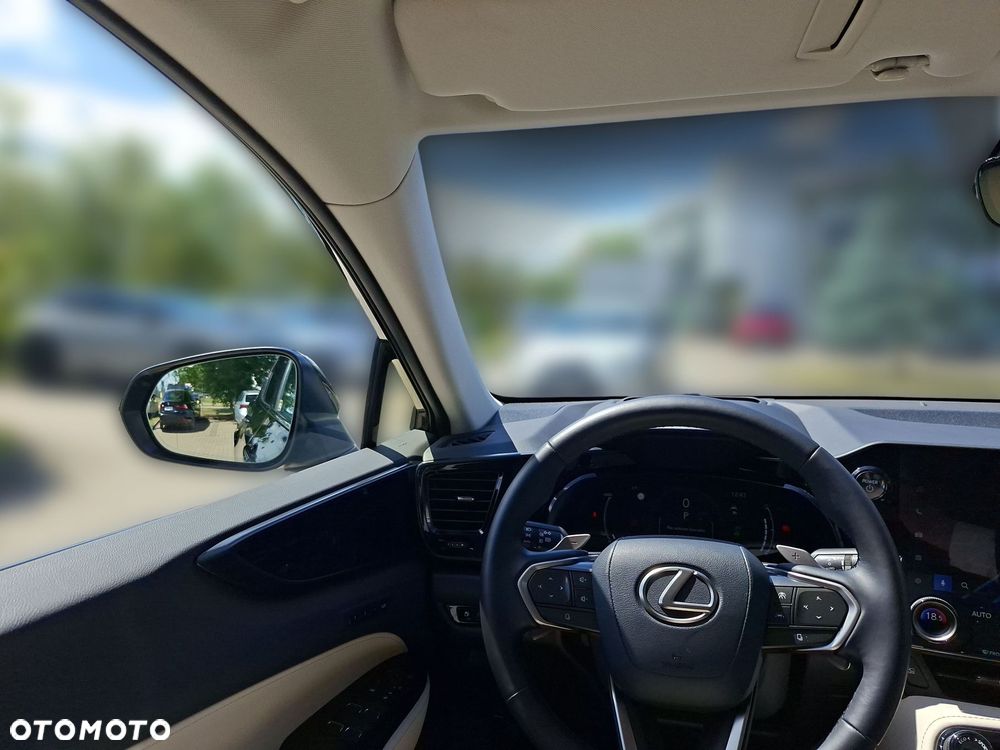 Lexus NX - 24