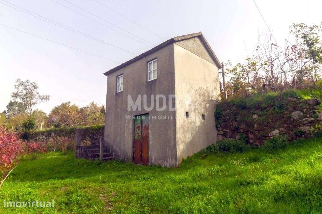Magnífica Casa Senhorial em Cinfães- Viseu - Grande imagem: 3/21