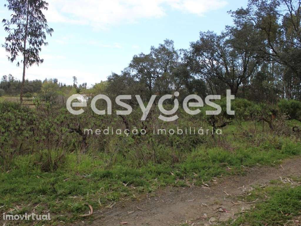 Terreno localizado nas Olalhas na Rota dos Trilhos das Cascatas - Grande imagem: 2/22