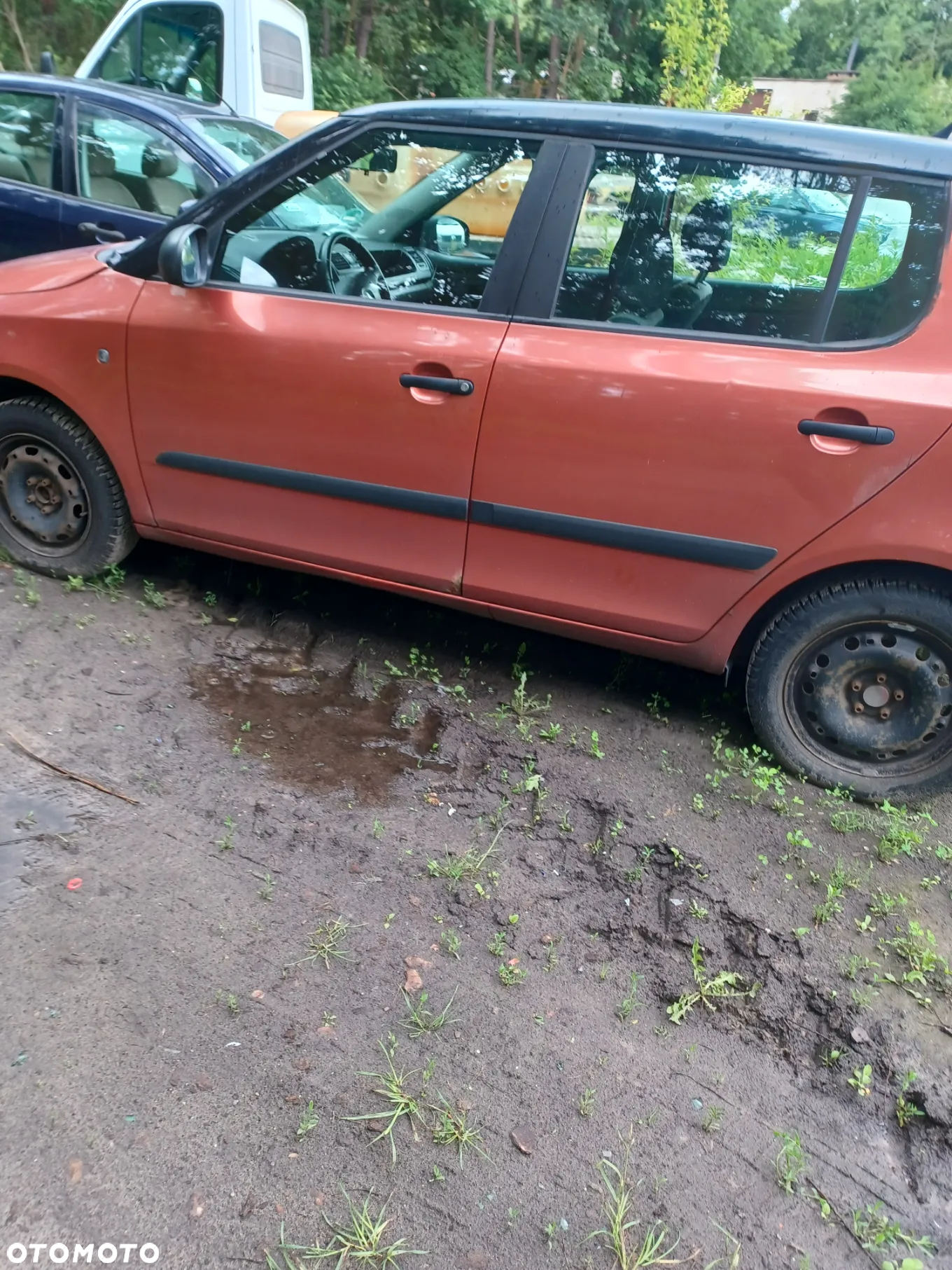 Skoda Octavia - 2