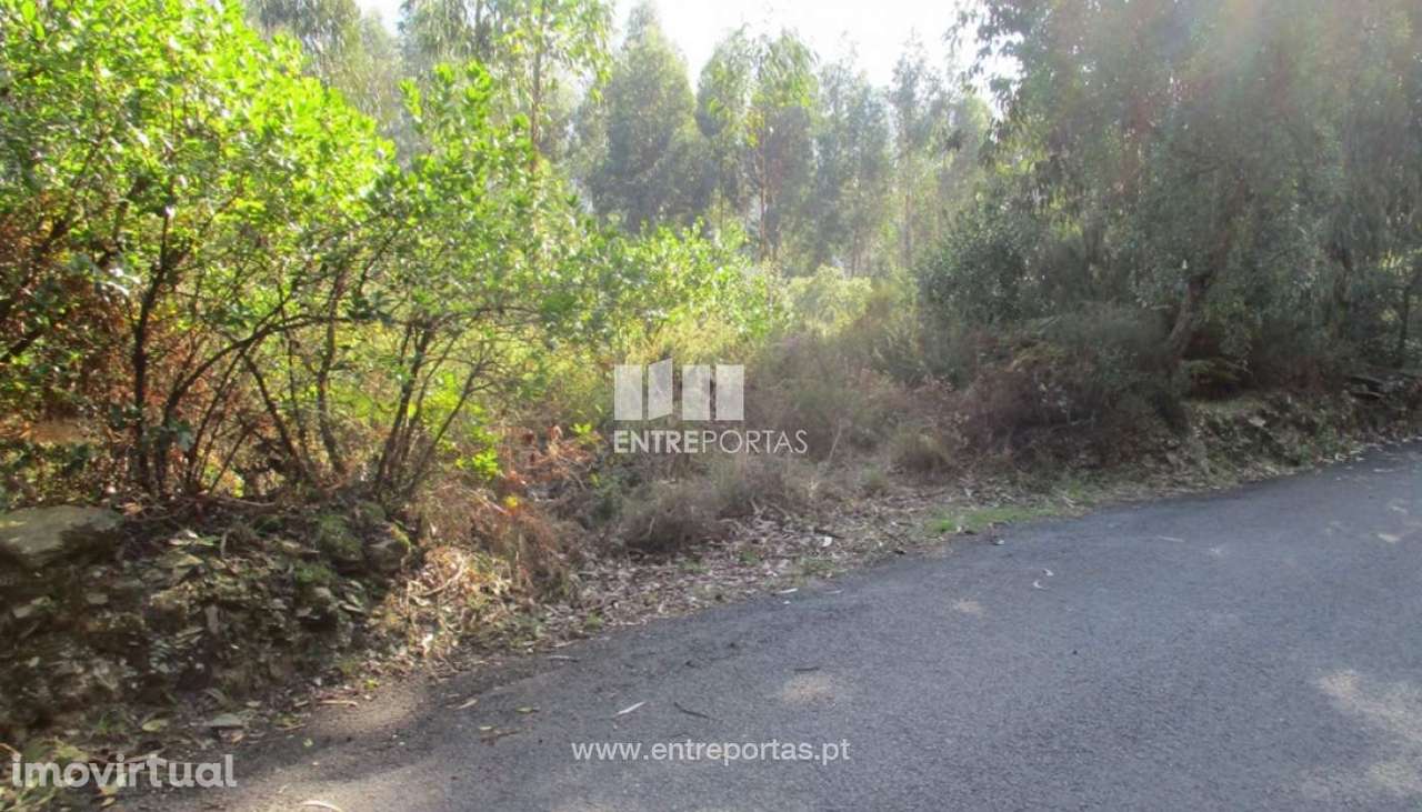 Venda Terreno com área de 15 500m2, Sebolido, Penafiel - Grande imagem: 4/10