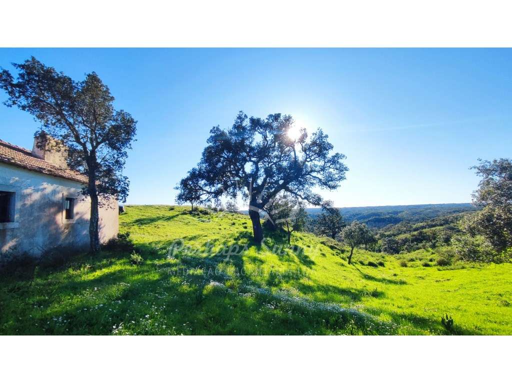 Terreno com moradia para recuperar - Grande imagem: 2/38