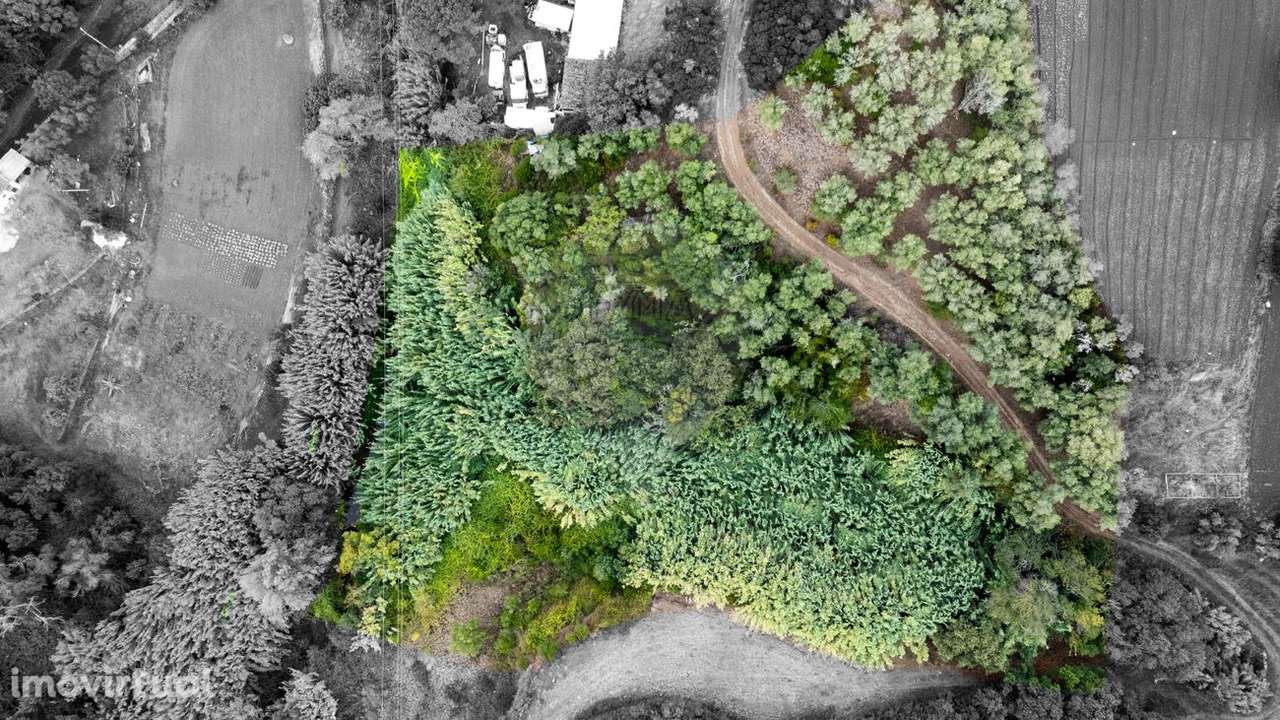 Terreno  para venda - Grande imagem: 5/6