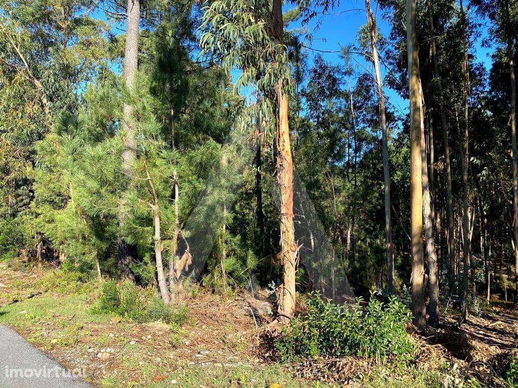Terreno para construção no Centro de Anadia - Grande imagem: 4/12