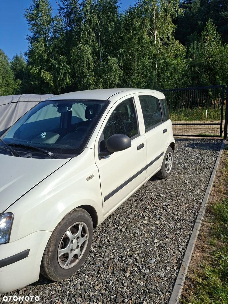 Fiat Panda - 2