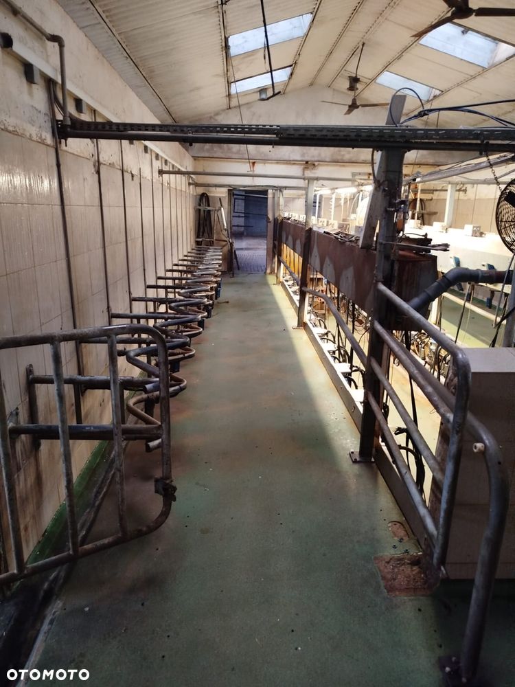 Inny Zdemontowana hala udojowa - 1
