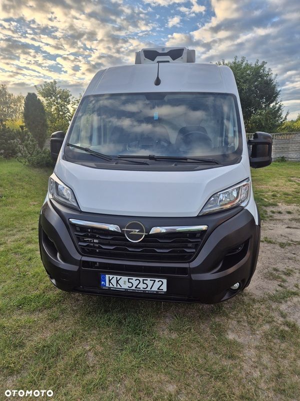 Opel MOVANO - 3