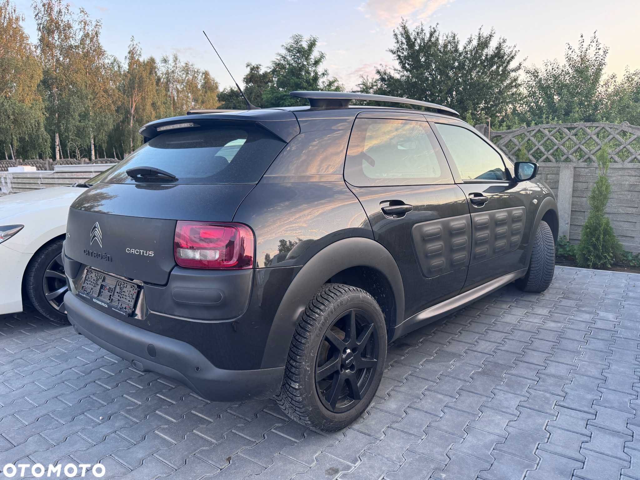 Citroën C4 Cactus e-VTi 82 ETG Stop&Start Shine Edition - 12