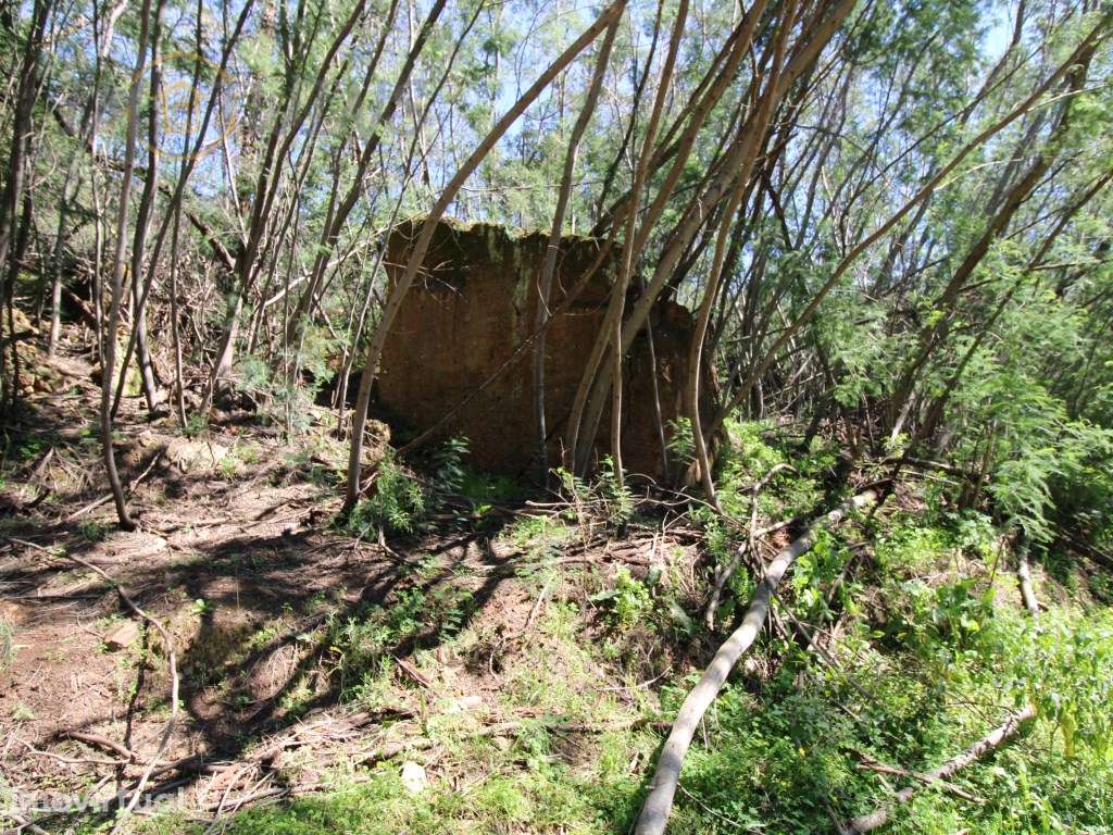 Terreno Rústico em Marmelete - Grande imagem: 5/14