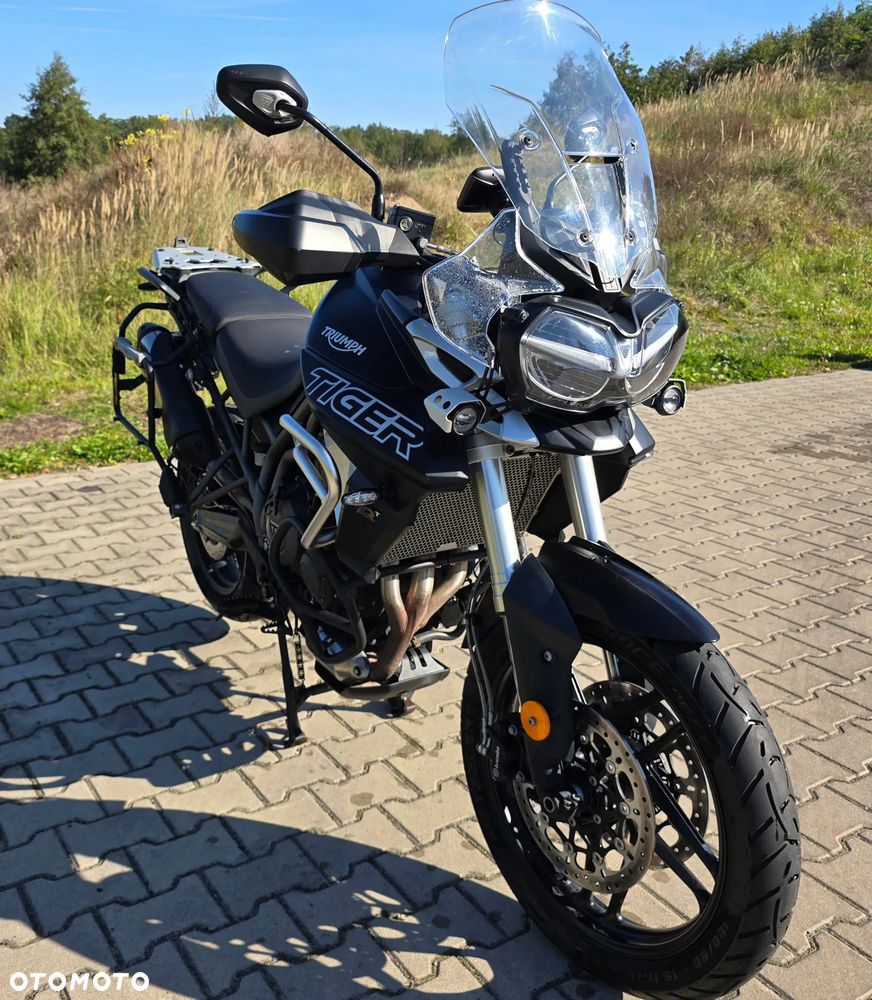 Triumph Tiger