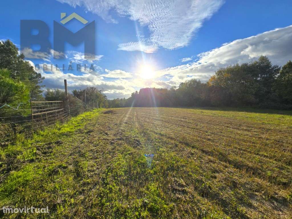 Terreno rústico para venda! Conta com uma área total de 2300 m². - Grande imagem: 4/8