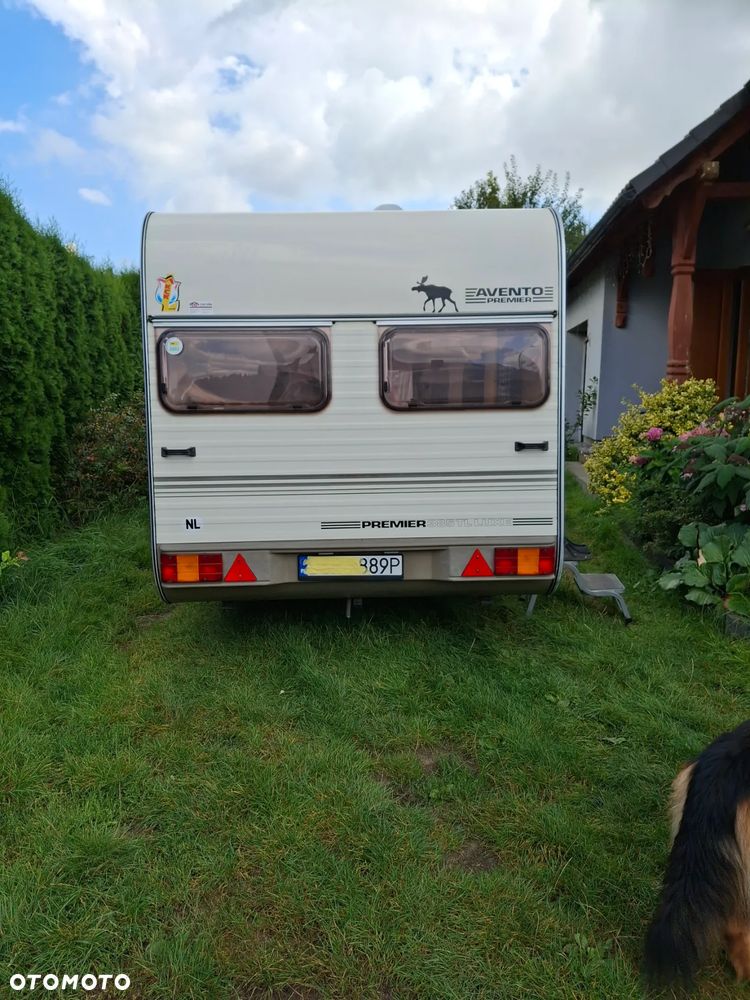 Avento Premier 385 - 11