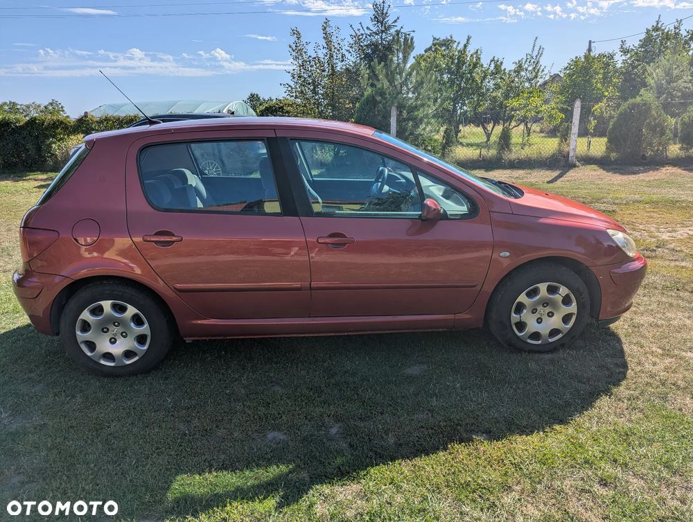 Peugeot 307 1.6 - 9