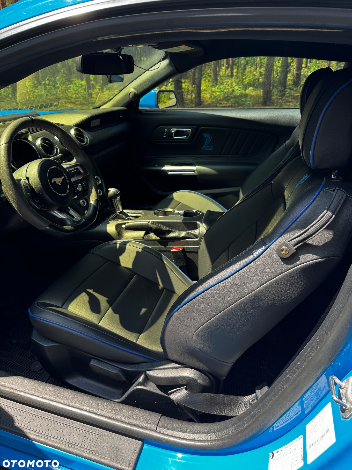 Ford Mustang - 9