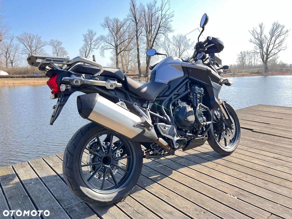 Triumph Tiger - 23