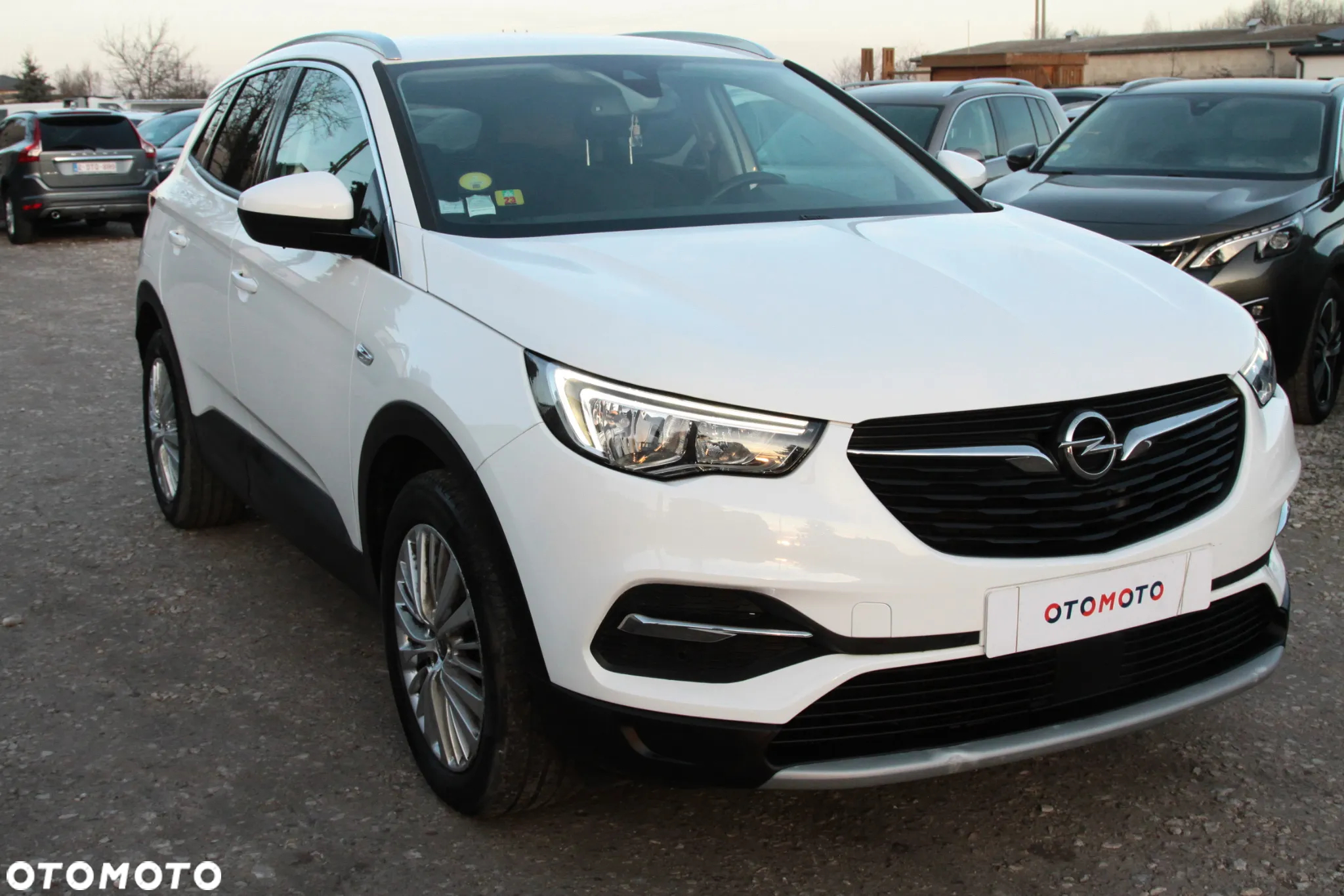 Opel Grandland X 1.6 CDTI Innovation S&S - 3