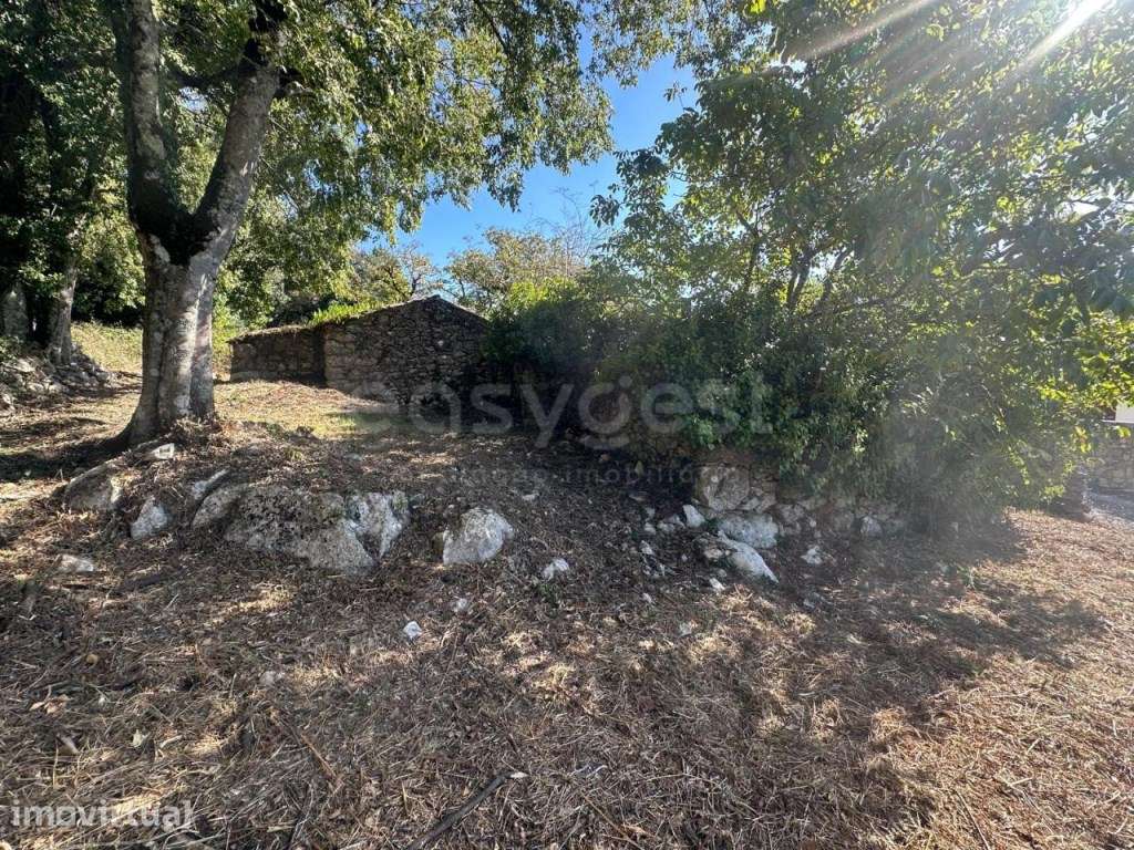 Casa antiga em ruínas para reconstrução - Grande imagem: 5/12