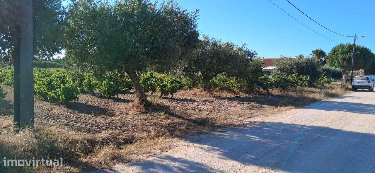 Terreno 5320 m2 – Glória do Ribatejo – Salvaterra de Magos - Grande imagem: 2/10