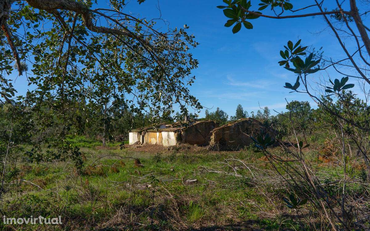 Quintinha com grande ruína para recuperar - Grande imagem: 5/18