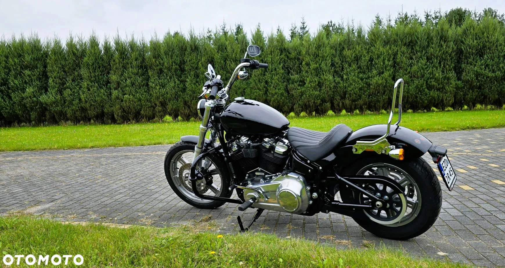 Harley-Davidson Softail Standard - 4