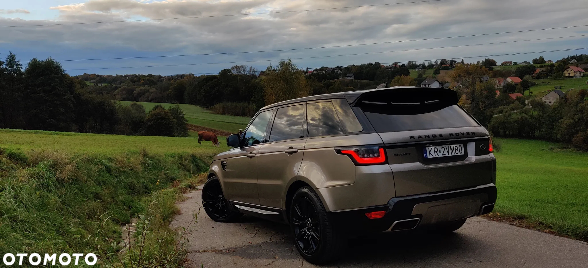 Land Rover Range Rover Sport S 3.0 I6 HSE - 2
