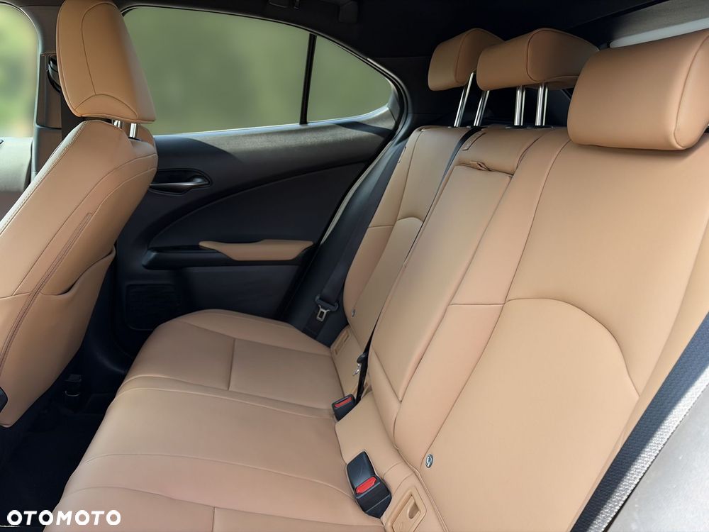 Lexus UX 250h GPF F Sport Design 2WD - 11